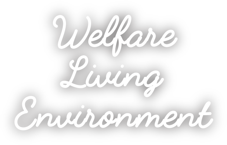 Welfare Living Environment